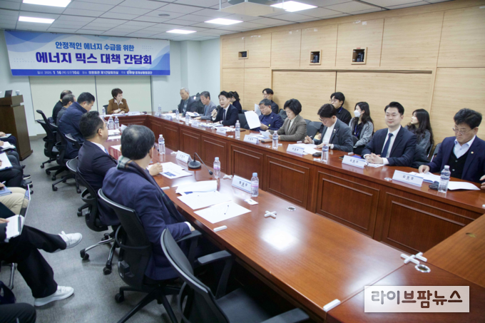 더불어민주당 경제상황점검단이 안정적인 에너지 수급을 위한 에너지 믹스 대책 간담회를 진행하고 있다.(사진=이언주의원사무실)