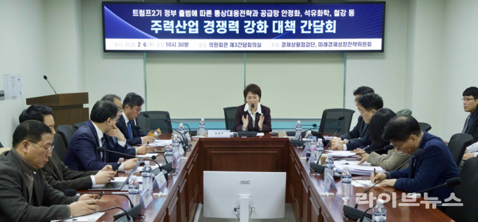 더불어민주당 경제상황점검단(단장 이언주 최고위원)이 6일 트럼프2기 정부 출범에 따른 통상대응전략과 공급망 안정화, 석유화학‧철강 등 주력산업 경쟁력 강화 대책 간담회를 진행하고 있다.(사진=이언주의원사무실)