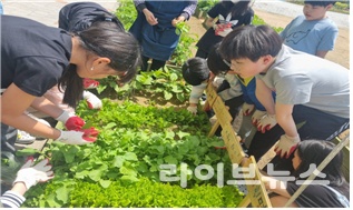 인천농업기술센터 원예활동교육.(사진=인천농업기술센터)