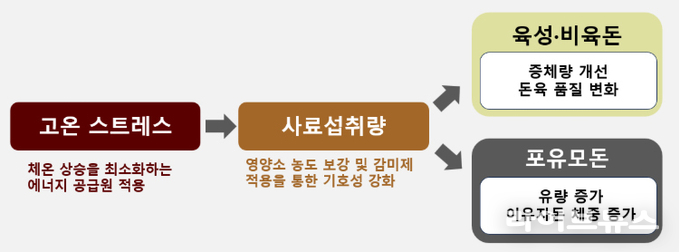 자료1) 하절기 특수 배합비 강화 내용