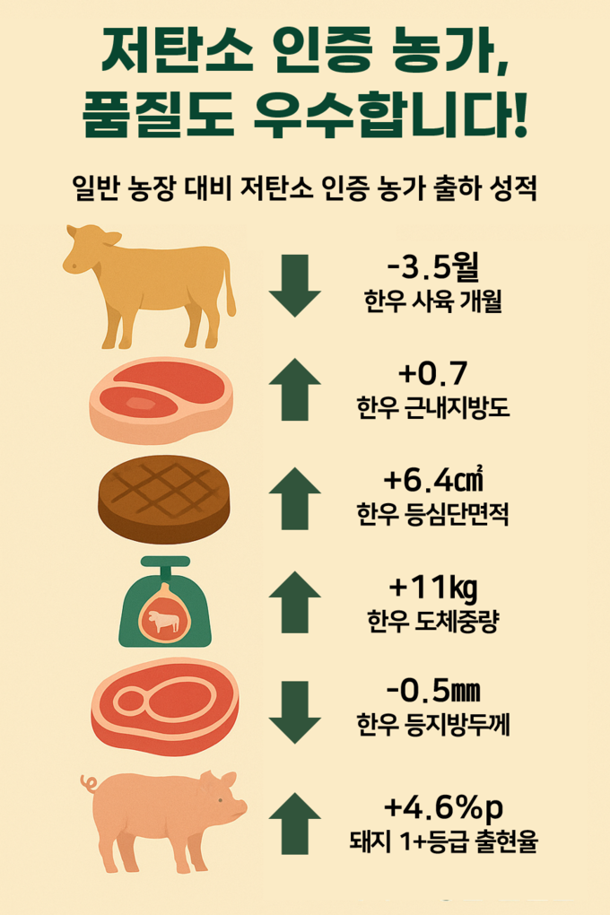 저탄소 인증 농가 출하 성적 인포그래픽.