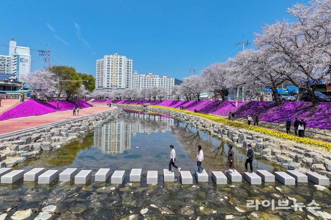순창군 양지천.(사진=순창군)