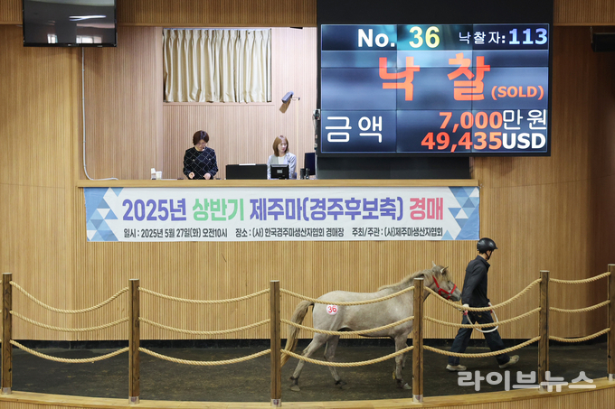 36번 최고가 낙찰마.