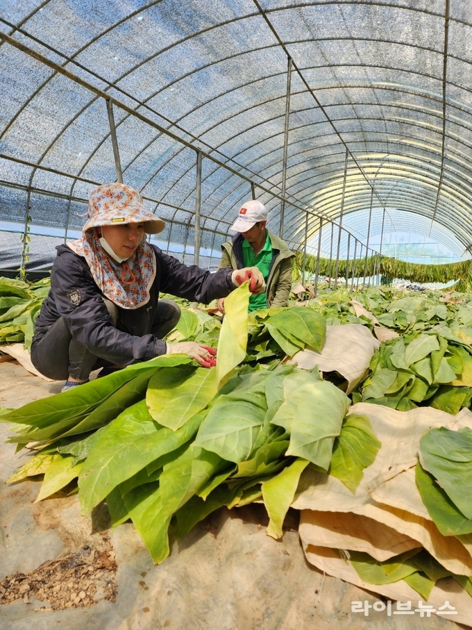 정읍시, 근로환경 실태 점검 관련 이미지.(사진=정읍시)