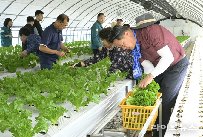 봄철 농촌일손돕기 행사 모습.(사진=순창군)