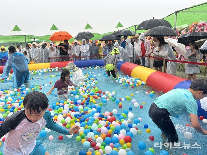 고창갯벌축제 장어잡기 모습.(사진=고창군)