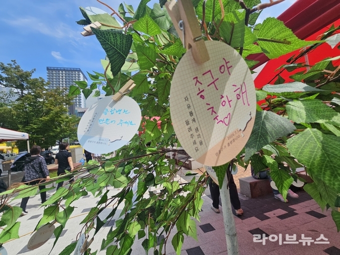 영종구 출범 관련 이미지.(사진=인천중구)