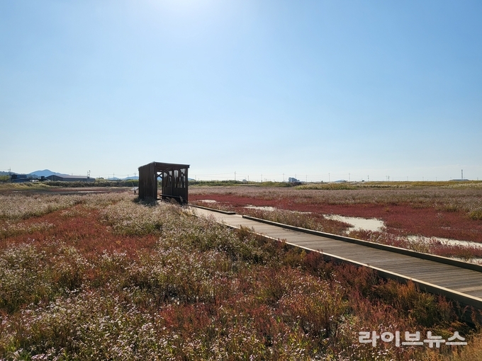 세계자연유산 고창갯벌을 품고있는 심원면 두어마을.(사진=고창군)