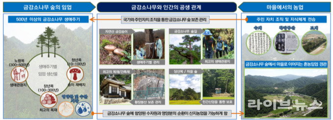 울진 금강송 산지농업시스템.