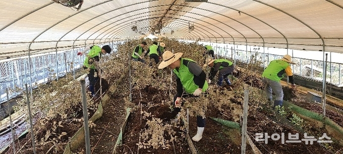농림축산식품부는 이번 호우 피해 농가가 보험금을 빠르게 지급받을 수 있도록 손해평가를 긴급 추진하고 있다. 보험금 선지급을 신청하는 농가에는 최종 보험금이 확정되기 전에라도 추정보험금의 50%까지 선지급할 예정이다.