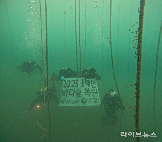 동해안 바다숲 복원 사업 실시 모습.(사진=KH한국건강관리협회)