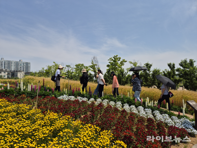 올해 하반기 도시농업 현장체험 프로그램 관련 이미지.(사진=인천농업기술센터)