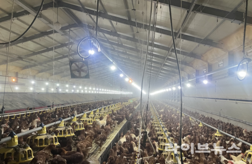 안개분무시설 설치 지원 모습.