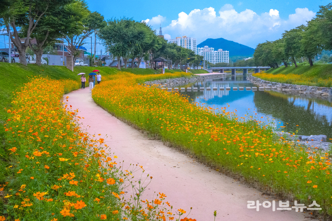 전북 순창군 양지천 전경.(사진=순창군)