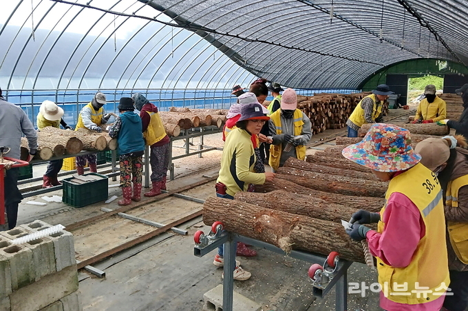 공공형 계절근로자 관련 이미지.(사진=순창군)