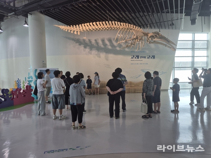 고래존 밍크고래 골격 표본.(사진=국립인천해양박물관)