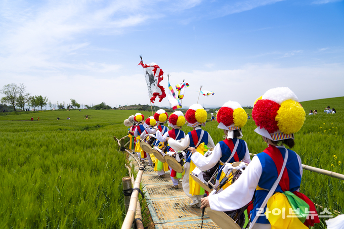 고창 청보리밭을 찾은 관광객들에게 길놀이로 즐거움을 주고 있다.(사진=고창군)