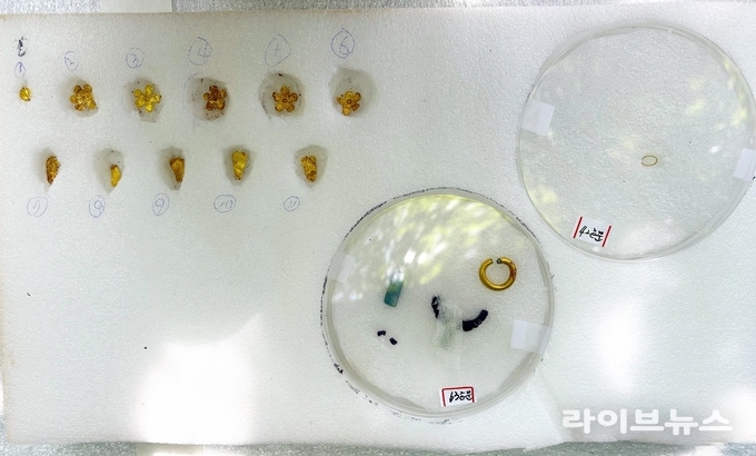 정읍 은선리와 도계리 고분군에서 금제 장신구와 백제계 토기·철기가 대거 출토됐다.(사진=정읍시)