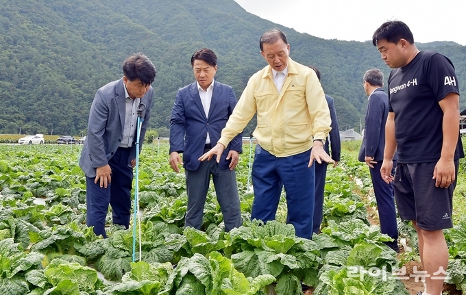 한국농수산식품유통공사 홍문표 사장은 26일 강원도 정선군 준고랭지 여름배추 시범재배지 현장을 점검했다.