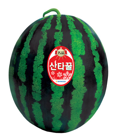 산타꿀 수박