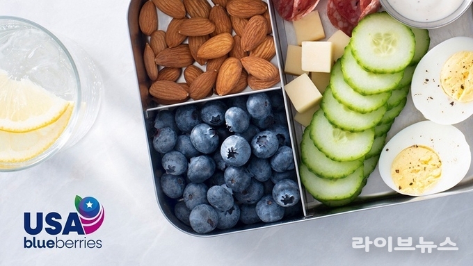 미국산 블루베리 (미국하이부시블루베리협회 제공)