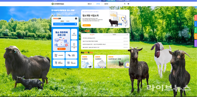 한국종축개량협회 염소개량 전용 홈페이지 오픈.