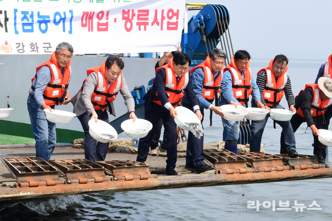 강화군이 점농어를 방류하고 있다.(사진=인천강화군)