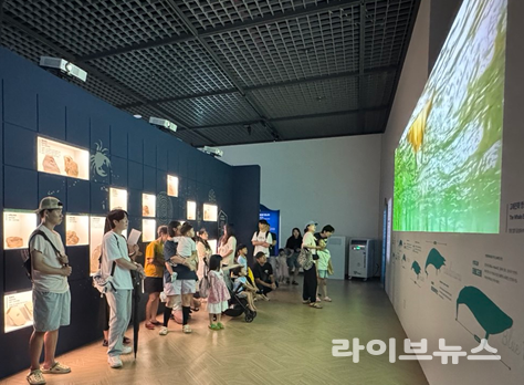 영상으로 만나는 고래의 진화(시각) 체험 모습.(사진=국립인천해양박물관)