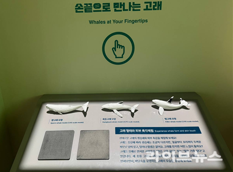 고래 모형·피부 촉감 체험(촉각) 테이블.(사진=국립인천해양박물관)