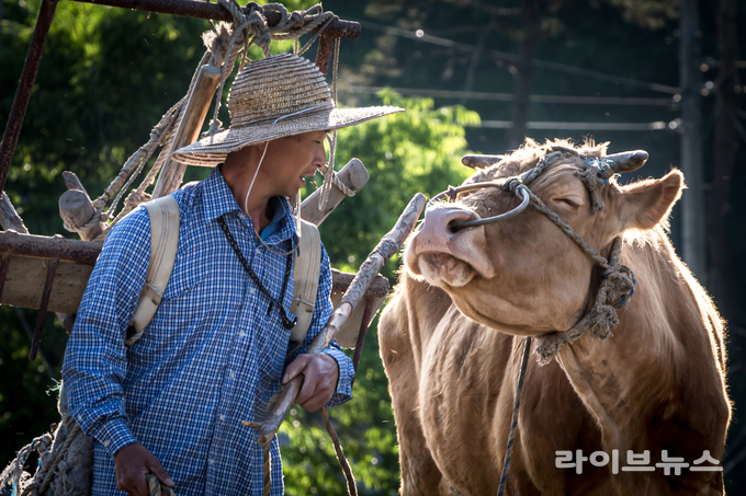 농림축산검역본부는 ‘사람과 동물이 함께 행복한 세상(One Welfare)’을 주제로 개최한 ‘제18회 동물사랑 사진 공모전’에서 사진분야 대상에 신운섭 님이 출품한 ‘농삿일의 동반자’가 선정됐다.<검역본부 제공>