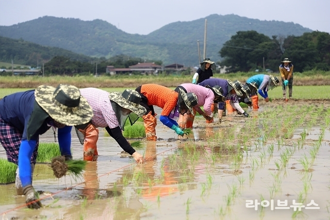 기사관련 이미지.(사진=정읍시)