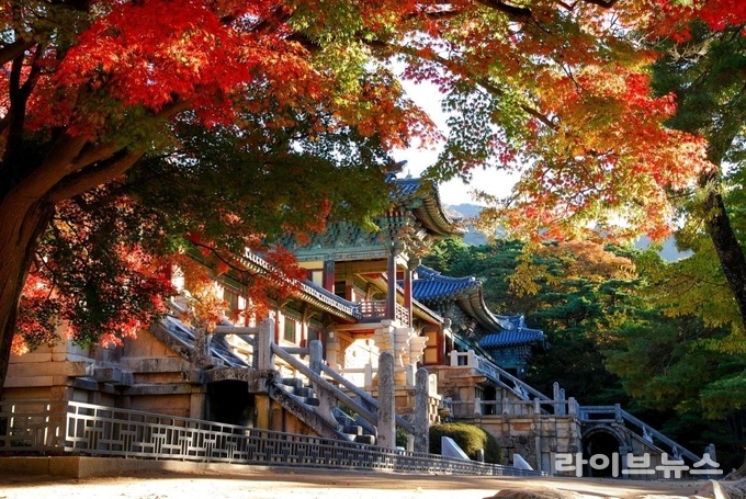 유네스코 세계유산 등재 30주년을 맞이한 불국사 전경.(사진=웹브라이트)