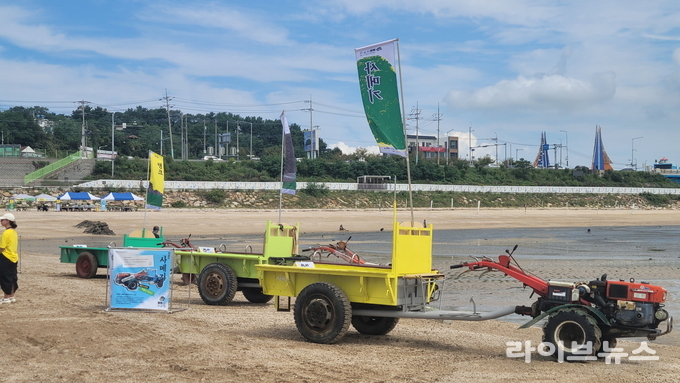 옹진군 선재도에서 열린 2025 선재도 풀등 예술제.(사진=인천관광공사)