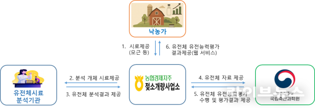 농가 서비스 체계