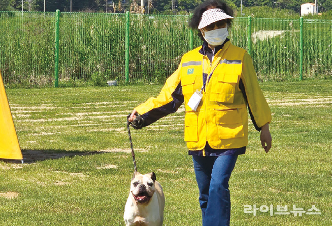 농촌진흥청은 반려견과 농장 동물을 활용한 동물교감 치유 프로그램이 성인의 심리적 안정과 스트레스 완화에 효과가 있음을 과학적으로 입증했다.