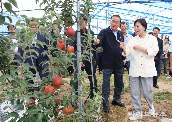 송미령 농림축산식품부 장관은 22일 오후, 충북 보은군 삼승면 소재 충북원예농협 과수 거점 산지유통센터(APC)를 찾아 추석 성수기용 사과 선별·출하 현장을 격려하고, 사과 재배농가를 찾아 생육 상황을 점검했다.