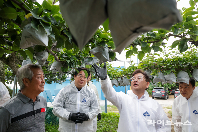 이승돈 농촌진흥청장은 23일 오후, 경기 안성시 공도읍에 있는 배 과수원을 방문해 햇배 작황과 생육 상태 등을 점검했다.