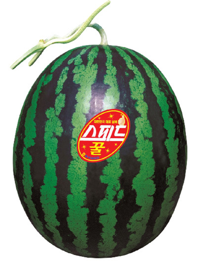 스피드꿀 수박’