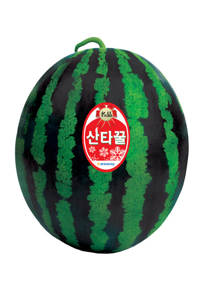 <strong>산타꿀 수박</strong>