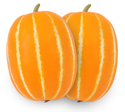 <strong>신세계꿀 참외</strong>