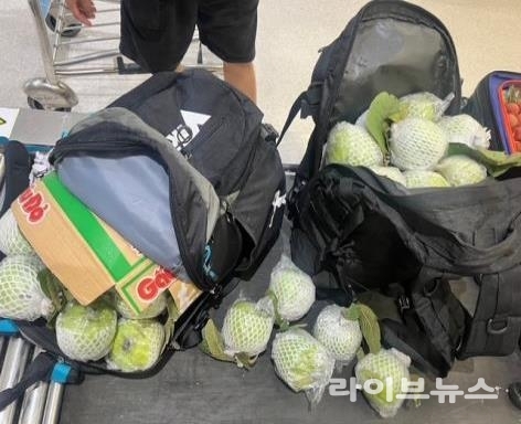 국경검역(휴대) 및 수입금지품 유통 현장 적발 모습.