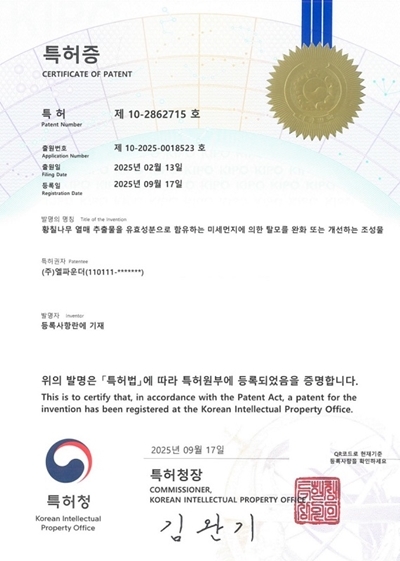 황칠나무 열매 추출물 탈모완화 또는 개선 조성물 특허 등록