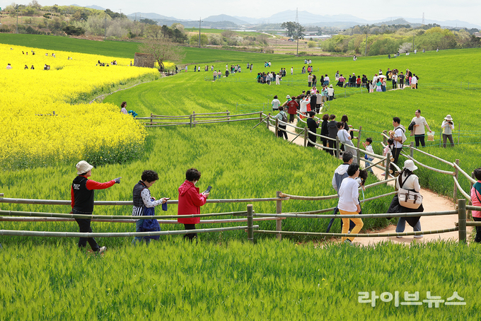 청보리밭축제.(사진=고창군)
