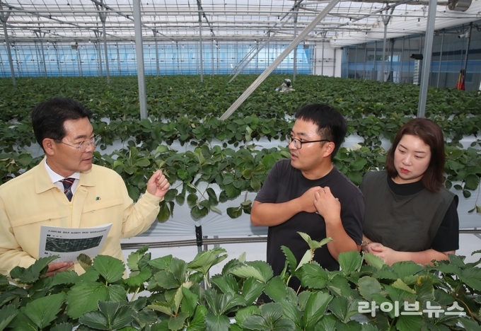 권익현 부안군수(왼쪽)가 청년 농업인이 운영하는 스마트팜 하우스를 방문해 재배환경과 작물 생육상황을 점검하고, 스마트농업의 발전 방향을 논의했다.(사진=부안군)