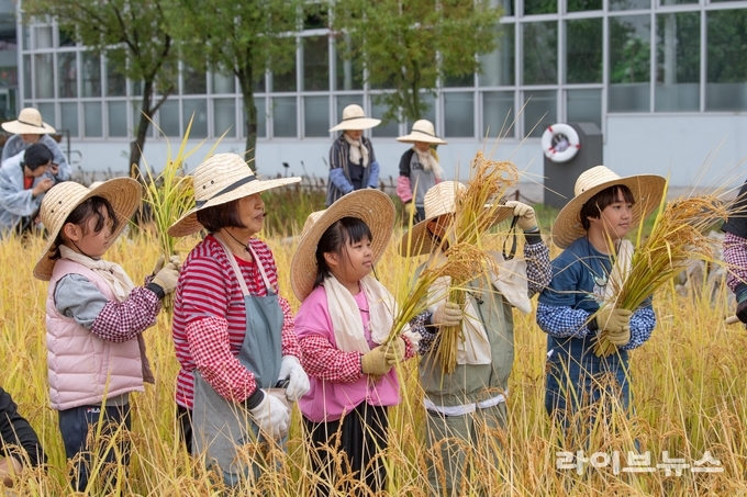 국립농업박물관은 전통 농업문화를 직접 체험하고 세대 간 농업의 가치를 공유할 수 있는 벼베기 체험 행사를 오는 22일 박물관 야외 다랑이논에서 개최한다.