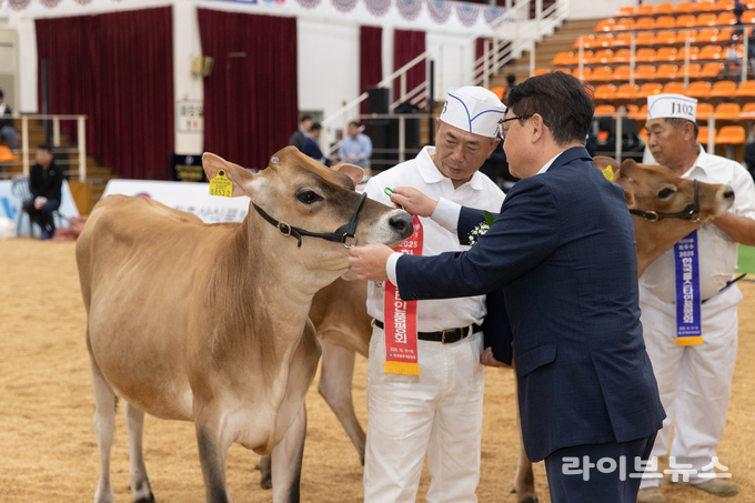 국립축산과학원은 ‘2025 홀스타인 품평회’에 저지종 암소 1두(16개월령)를 출품해 우수상을 받았다.