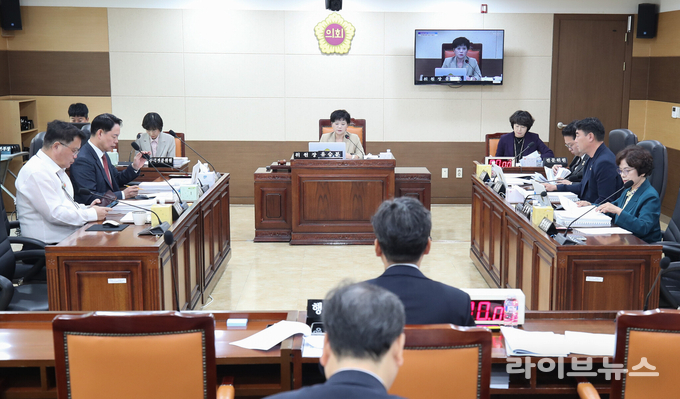 인천시의회 행정안전위원회 회의 모습.(사진=인천시의회)