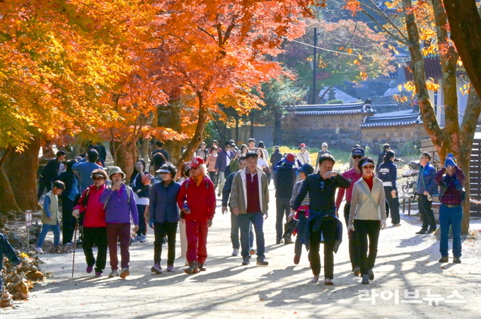 순창군 강천산군립공원 관련 이미지.(사진=순창군)
