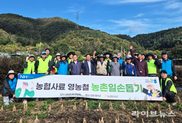 농협사료 본사 및 강원지사 임직원 20여명은 지난 23일 강원 홍천군에 위치한 축산농가를 방문하여 수확철 농촌 일손 돕기를 실시했다.