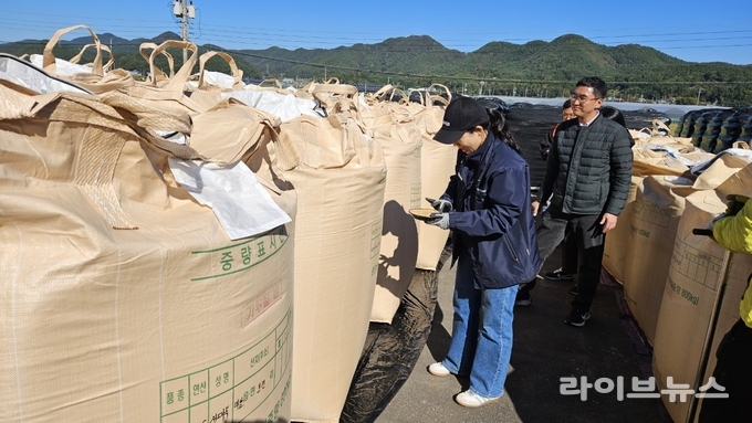 국립농산물품질관리원 경남지원은 2025년산 공공비축 포대벼 매입검사를 28일 경남 고성군을 시작으로 1,133개 장소에서 검사관 88개반을 투입하여 12월 31일까지 완료할 계획이다.